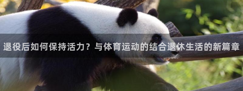 退役后如何保持活力？与体育运动的结合退休生活的新篇章