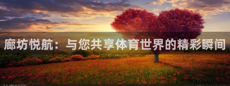 廊坊悦航：与您共享体育世界的精彩瞬间