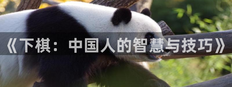 《下棋：中国人的智慧与技巧》