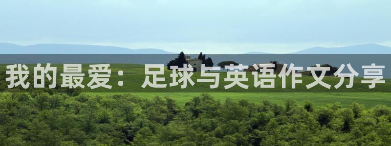 我的最爱：足球与英语作文分享